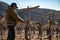 Mexican worker trimming wine crops in Valle de Guadalupe