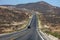 Mexico - Baja California, giant cactus by the road