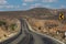 Mexico - Baja California, giant cactus by the road