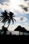 Mexico Beach Coastline with Silhouette