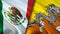 Mexico and Bhutan flags. 3D Waving flag design. Mexico Bhutan flag, picture, wallpaper. Mexico vs Bhutan image,3D rendering.