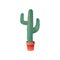 Mexico cactus in pot for house outdoor green decoration