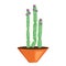 Mexico cactus pot icon, cartoon style