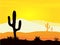 Mexico desert sunset with cactus plants silhouette