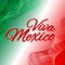 Mexico flag theme Viva Mexico against the background of the national flag MexiÑo Bright background on Independence Day of Mexico