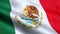 Mexico flag waving texture fabric background