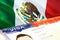 Mexico immigration document close up. Passport visa on Mexico flag. Mexico visitor visa in passport,3D rendering. Mexico multi