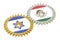 Mexico and Israel flags on a gears, 3D rendering