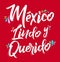 Mexico Lindo y Querido, Mexico Beautiful and Beloved Spanish text vector lettering.