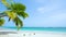 Mexico Paradise sea beach landscape. Beautiful solar sea background. Loop video