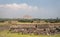 mexico teotihuacan pyramids