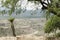 Mezquital Valley, view of a sunny Mexican semi-desert landscape