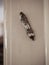 Mezuzah, a decorative case with piece of parchment called a klaf. Jewish house