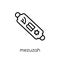 Mezuzah icon. Trendy modern flat linear vector Mezuzah icon on w