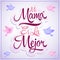 Mi Mama es la Mejor - My Mom is the Best spanish text