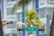 Miami Beach 7th Street road sign with palm trees and hotels in background