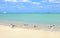 Miami Beach, Florida. Blue sky, turquoise water and seagulls swimming in Atlantic Ocean