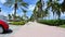 Miami Beach scene with palm trees