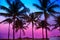 Miami Beach South Beach sunset palm trees Florida