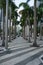 Miami financial district city scene. United States