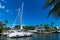 Miami, Florida USA - March 25, 2023: summer destination with sailing yacht catamaran in miami