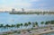 Miami panorama with car traffic