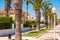 MIAMI PLATJA, SPAIN - APRIL 24, 2017: The Palm Alley. Copy space for text.