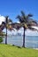 Miami Tall Buildings Overlooking the Florida Intra-Coastal Waterways