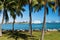 Miami, USA - February 29, 2016: sea view through palm trees. Sea voyage. Cruise ship in port. Holiday in tropical beach