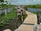 MIAMI, USA - JULY 19, 2015: A Beautiful view of Everglades National Park on Summer
