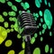 Mic And Lights Shows Microphone Concert Entertainment Or Music S