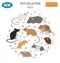 Mice breeds icon set flat style isolated on white. Mouse rodents