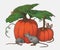 Mice Playing In Pumpkin Patch: Color Pencil Art