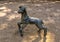 `Michael`s Lamb`, a bronze sculpture by May Jean Jaynes at the Dallas Zoo in Texas.