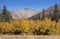 Michigan Creek Campground in Colorado with the changing of seasons.