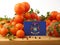 Michigan flag on a wooden panel with tomatoes isolated on a whit