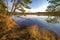Michigan River Wetlands Ecosystem Landscape
