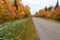 Michigan Rural Road Through Autumn Forest