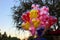 Mickey Mouse balloons at dusk at Disneyland