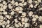 Micro Close up of Organic split black urad dal Vigna mungo with shell Full-Frame Background.