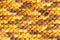 Micro close up of yellow knitted woolly fabric with copy space