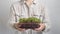 Micro green sprouts in plastic pot in female hands on gray