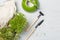 Micro-greenery, seedlings in a garden box. Top view on a gray wood surface. With miniature garden tools