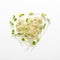 Micro greens arranged in shape of heart on white background. Sunflower sprouts, lucerne, microgreens. Flat lay. Nature