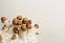 Micro growing of Psilocybe Cubensis mushrooms on white background.