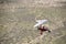 A micro-light plane flying over the Tankwa Karoo