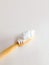 Micro plastic particles in a smear of toothpaste on a wooden toothbrush