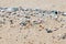 Micro Plastics Washing Ashore On The Beach In Hawaii, United States of America