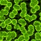 Microbe, virus, bacteria or cell green texture