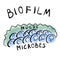 Microbes in biofilm with mucus